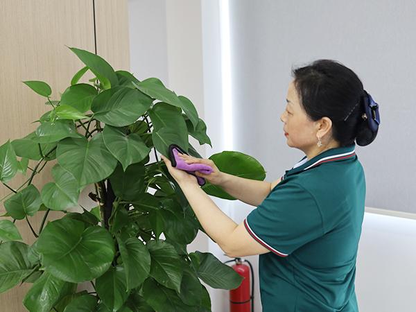你真的了解保潔嗎？